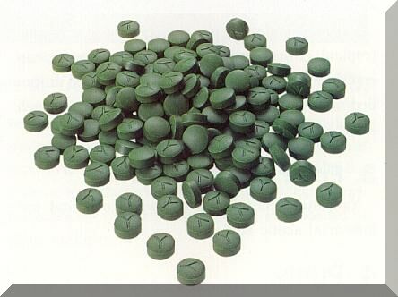 Yaeyama chlorella 